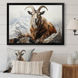 Goat Mountain Majesty - Goat Framed Canvas Art
