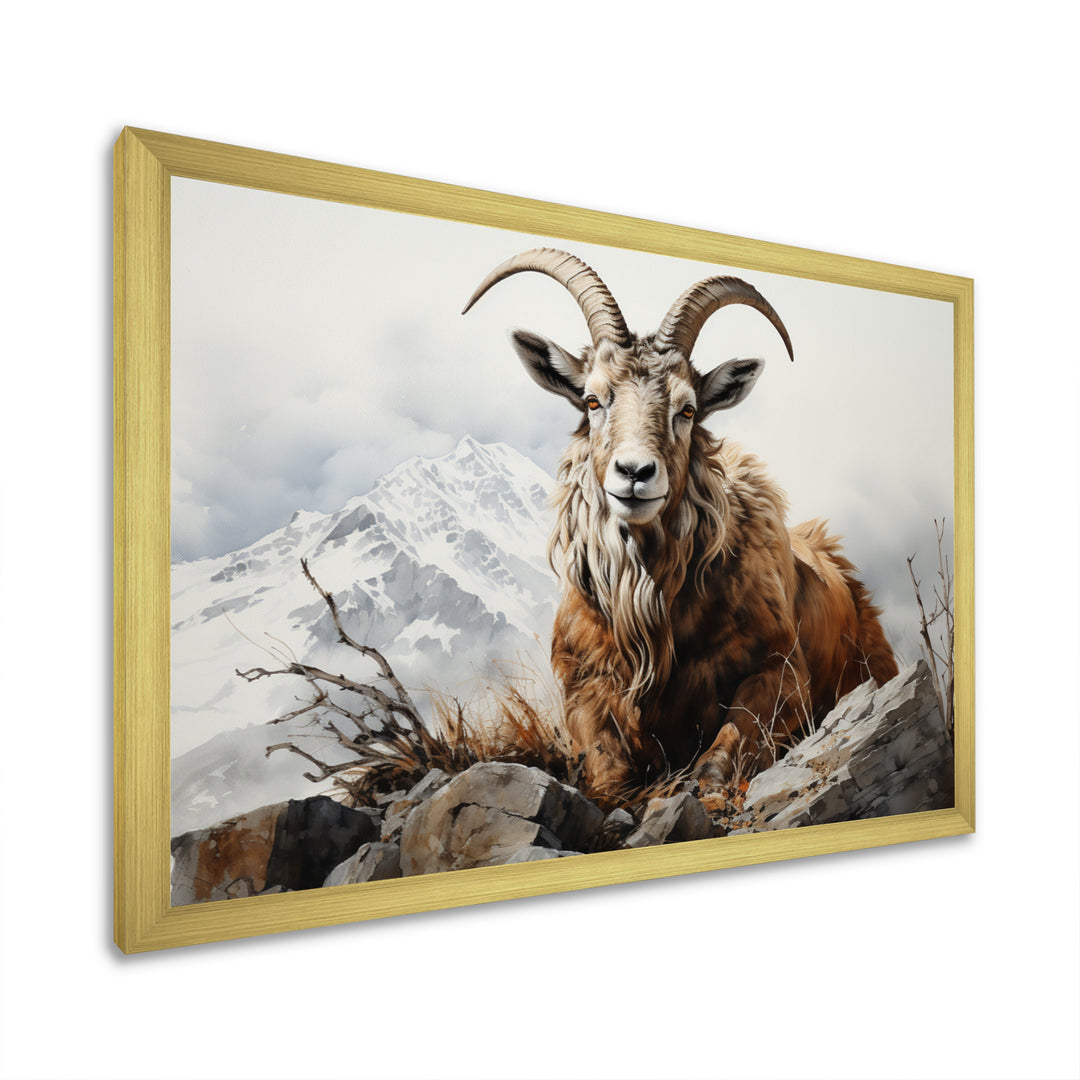 Goat Mountain Majesty - Goat Framed Canvas Art