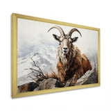 Goat Mountain Majesty - Goat Framed Canvas Art