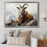 Goat Mountain Majesty - Goat Framed Canvas Art
