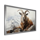 Goat Mountain Majesty - Goat Framed Canvas Art