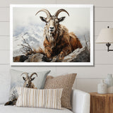 Goat Mountain Majesty - Goat Framed Canvas Art