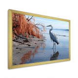 Heron Morning Stroll - Heron Framed Canvas Art