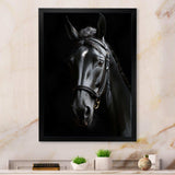 Black And White Horse Elegance - Animals Canvas Wall Art