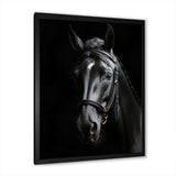 Black And White Horse Elegance - Animals Canvas Wall Art