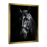 Black And White Horse Elegance - Animals Canvas Wall Art