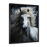 White Horse Fierce Intensity - Horse Wall Art Prints