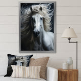 White Horse Fierce Intensity - Horse Wall Art Prints