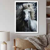 White Horse Fierce Intensity - Horse Wall Art Prints