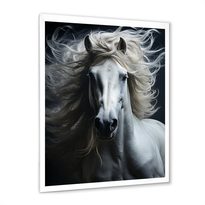 White Horse Fierce Intensity - Horse Wall Art Prints