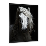 Grey Horse Majestic Monochrome - Horse Home Decor Art