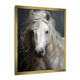 White Horse Subtle Whispers - Horse Canvas Wall Art