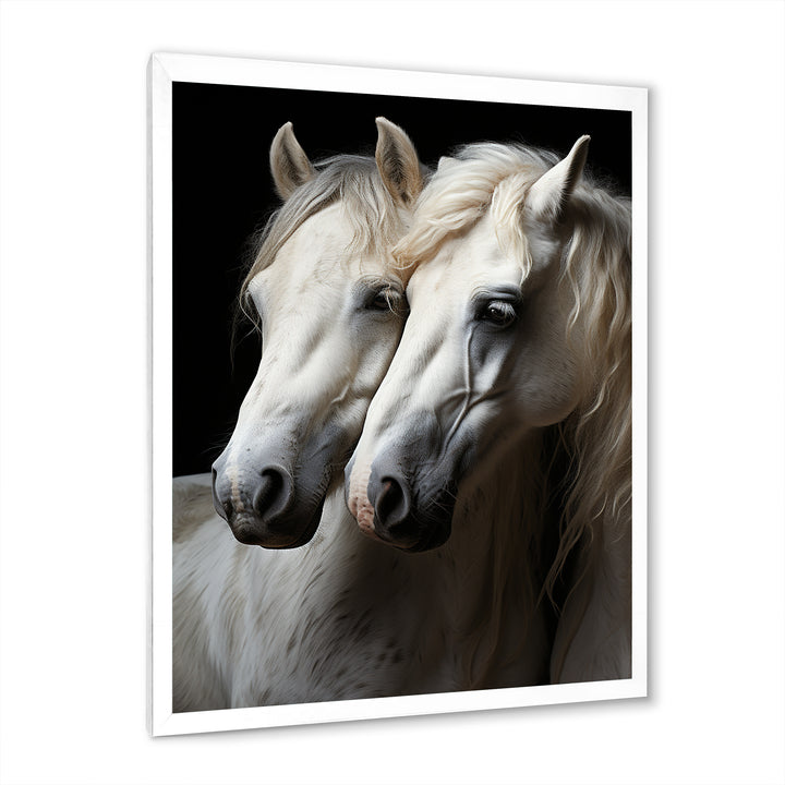 White Horse Whispering Whinnies - Horse Large Canvas Wall Art