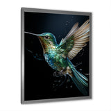 Teal Black Hummingbird Aerial Grace - Hummingbird Home Decor Art