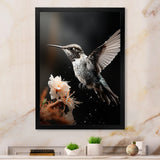 Black White Hummingbird Energetic - Hummingbird Wall Decor