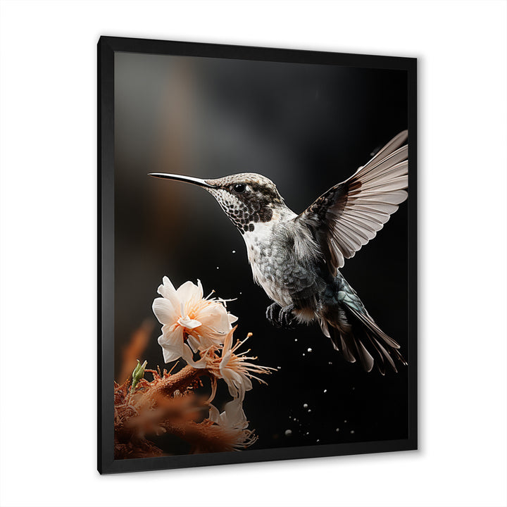 Black White Hummingbird Energetic - Hummingbird Wall Decor