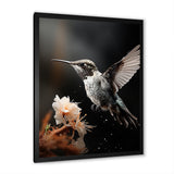 Black White Hummingbird Energetic - Hummingbird Wall Decor