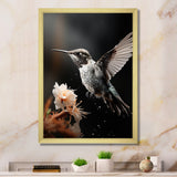 Black White Hummingbird Energetic - Hummingbird Wall Decor
