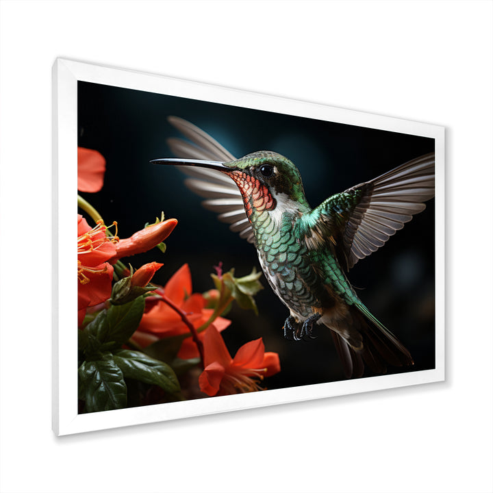 Teal Coral Hummingbird Portrait - Teal Hummingbird Wall Art