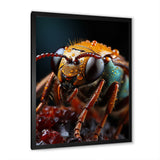 Insects Bugs Animal National - Insects & Bugs Home Decor Art