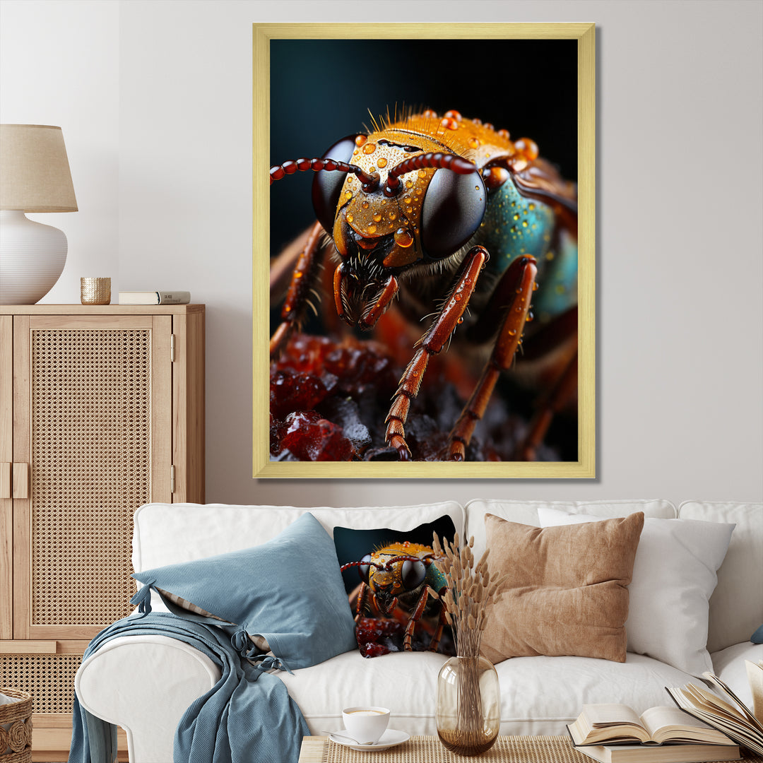 Insects Bugs Animal National - Insects &amp; Bugs Home Decor Art