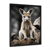 Kangaroo Bound - Kangaroo Home Decor Art