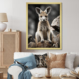 Kangaroo Bound - Kangaroo Home Decor Art