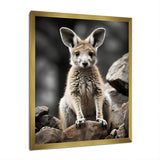 Kangaroo Bound - Kangaroo Home Decor Art
