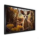 Kangaroo Portrait - Kangaroo Canvas Wall Art