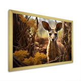 Kangaroo Portrait - Kangaroo Canvas Wall Art