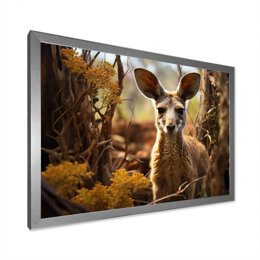 Kangaroo Portrait - Kangaroo Canvas Wall Art