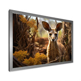 Kangaroo Portrait - Kangaroo Canvas Wall Art