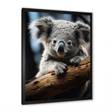 Koala Koalas Serenity - Koala Wall Art Prints