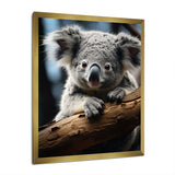 Koala Koalas Serenity - Koala Wall Art Prints
