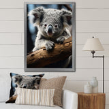 Koala Koalas Serenity - Koala Wall Art Prints