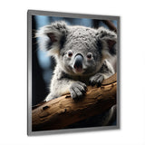 Koala Koalas Serenity - Koala Wall Art Prints