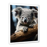 Koala Koalas Serenity - Koala Wall Art Prints