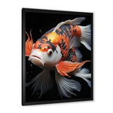 Orange Kois Fish Bold Contrasts - Koi's Fish Framed Canvas Art