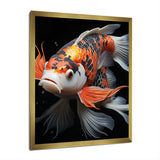 Orange Kois Fish Bold Contrasts - Koi's Fish Framed Canvas Art