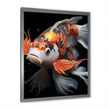 Orange Kois Fish Bold Contrasts - Koi's Fish Framed Canvas Art