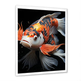 Orange Kois Fish Bold Contrasts - Koi's Fish Framed Canvas Art