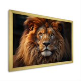 Lion Portrait - Lion Wall Decor