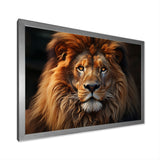 Lion Portrait - Lion Wall Decor