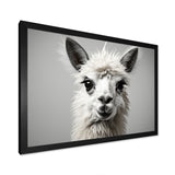 Grey Llama Gentle Llama - Llama Canvas Wall Art