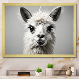 Grey Llama Gentle Llama - Llama Canvas Wall Art