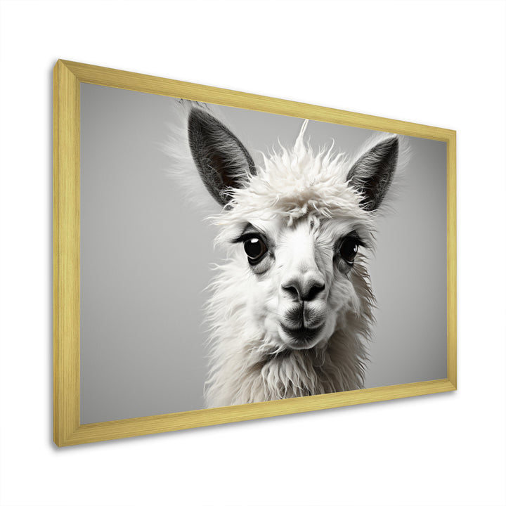 Grey Llama Gentle Llama - Llama Canvas Wall Art