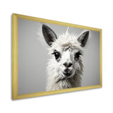 Grey Llama Gentle Llama - Llama Canvas Wall Art