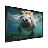 Turquoise Grey Manatee Portrait - Manatee Canvas Wall Art