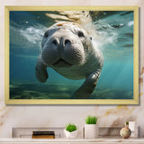 Turquoise Grey Manatee Portrait - Manatee Canvas Wall Art