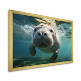 Turquoise Grey Manatee Portrait - Manatee Canvas Wall Art